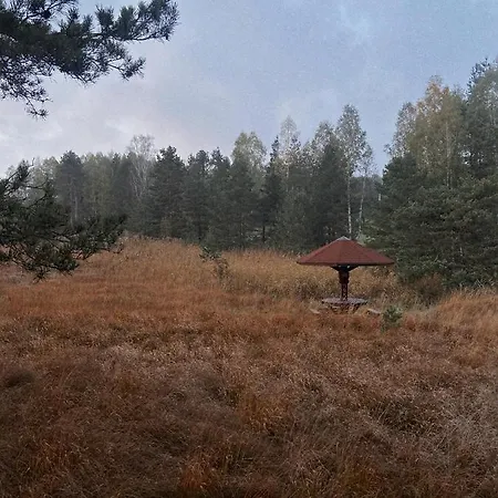 Viline Kose * Divčibare