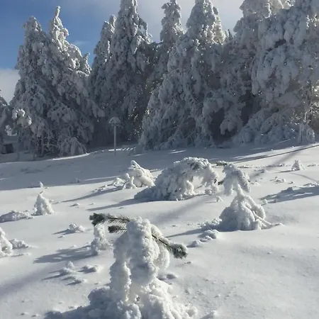 Lägenhet Viline Kose Divčibare
